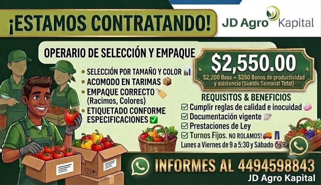 Banner del anuncio de la vacante: ¡ESTAMOS CONTRATANDO! · OPERARIO DE SELECCIÓN Y EMPAQUE · • SELECCIÓN POR TAMAÑO Y COLOR · • ACOMODO EN TARIMAS · • EMPAQUE CORRECTO ®• · (R