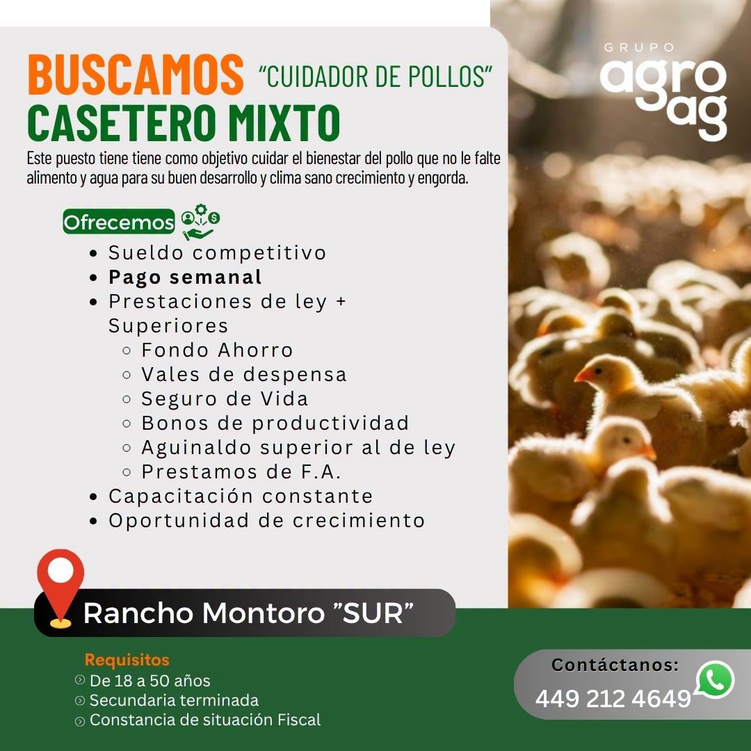 Banner del anuncio de la vacante: BUSCAMOS "CUIDADOR DE POLLOS" · CASETERO MIXTO · Este puesto tiene tiene como objetivo cuidar el bienestar del pollo que no le falte · alime