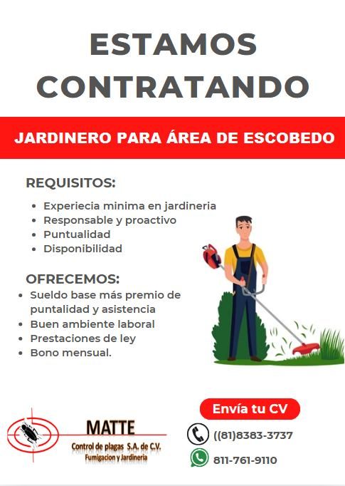 Banner del anuncio de la vacante: ESTAMOS · CONTRATANDO · JARDINERO PARA ÁREA DE ESCOBEDO · REQUISITOS: · • Experiecia minima en jardineria · • Responsable y proactivo · • Pu