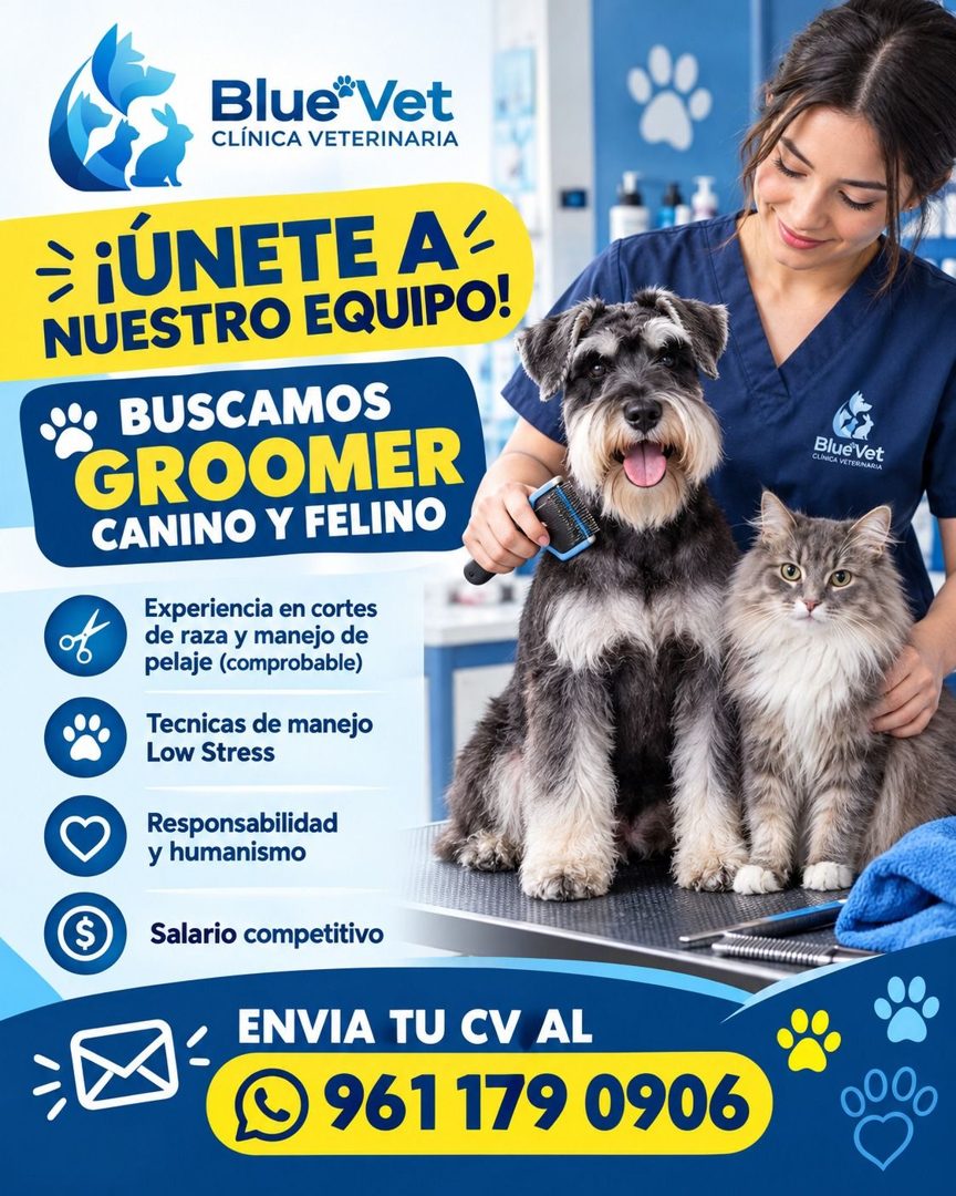 Banner del anuncio de la vacante: Blue Vet · CLÍNICA VETERINARIA · ¡ÚNETE A' · NUESTRO EQUIPO! · J BUSCAMOS · GROOMER · CANINO Y FELINO · Experiencia en cortes · de raza y ma