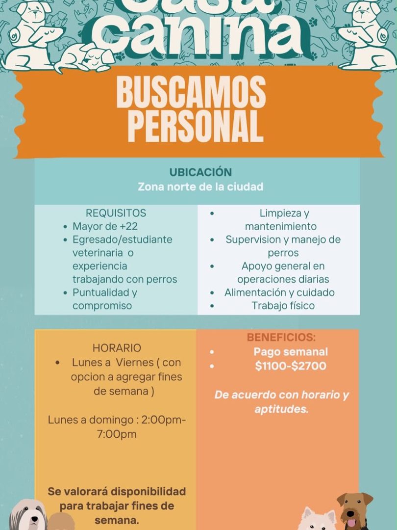 Banner del anuncio de la vacante: canina · BUSCAMOS · PERSONAL · UBICACIÓN · Zona norte de la ciudad · REQUISITOS · • Mayor de +22 · • Egresado/estudiante · veterinaria o · e