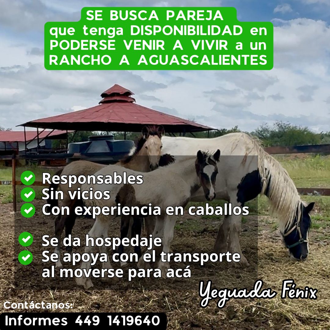 Banner del anuncio de la vacante: SE BUSCA PAREJA · que tenga DISPONIBILIDAD en · PODERSE VENIR A VIVIR a un · RANCHO A AGUASCALIENTES · SNZ2R1 · • Responsables · • Sin vicio