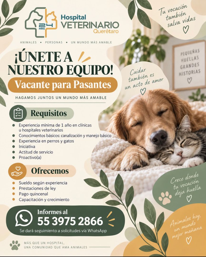 Banner del anuncio de la vacante: HRS · Hospital · VETERINARIO · Querétaro · ANIMALES • PERSONAS • UN MUNDO MÁS AMABLE · ¡ÚNETE A · NUESTRO EQUIPO! · Vacante para Pasantes · 