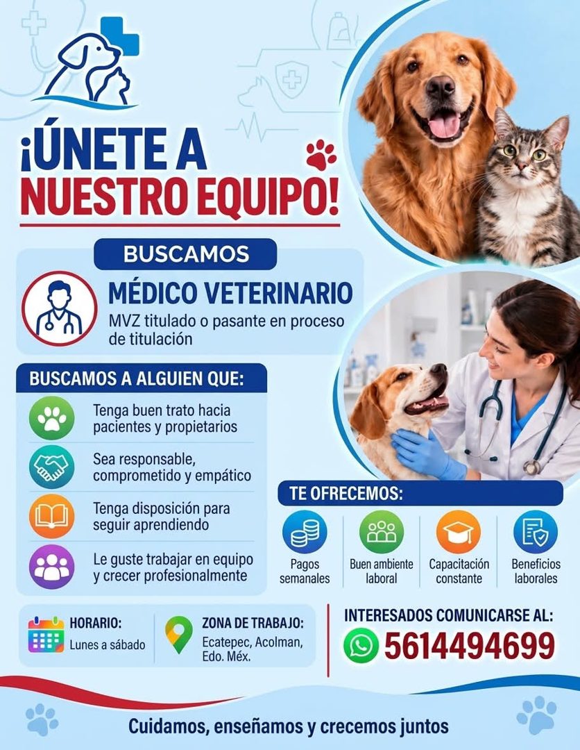 Banner del anuncio de la vacante: ¡ÚNETE A · NUESTRO EQUIPO! · BUSCAMOS · MÉDICO VETERINARIO · MVZ titulado o pasante en proceso · de titulación · BUSCAMOS A ALGUIEN QUE: · T