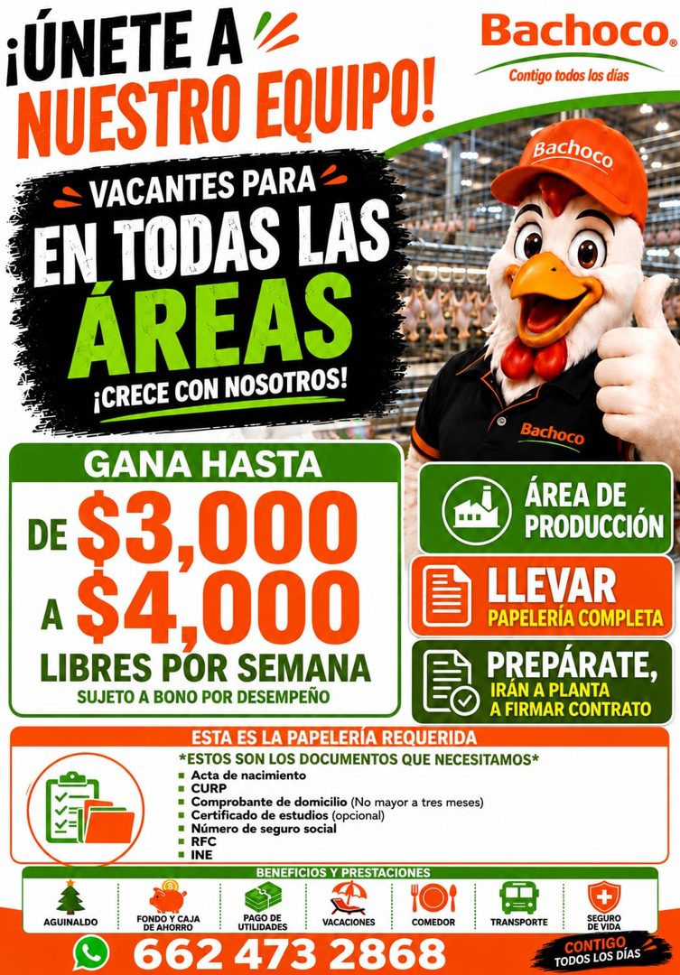 Banner del anuncio de la vacante: ¡ÚNETE A · NUESTRO EQUIPO! · = VACANTES PARA · EN TODAS LAS · ÁREAS · ¡CRECE CON NOSOTROS! · Bachoco. · Contigo todos los días · Bachoco · B
