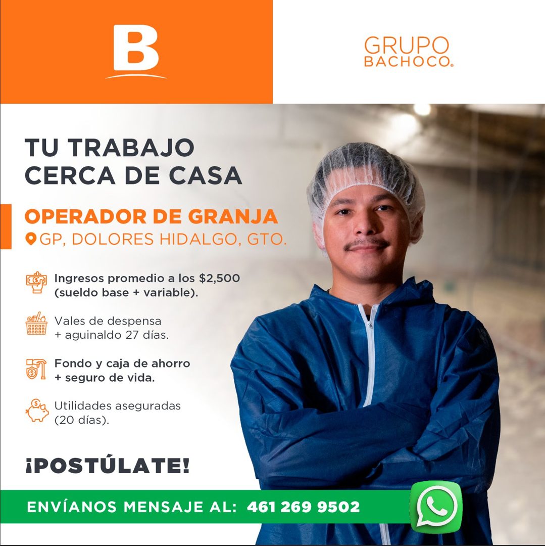 Banner del anuncio de la vacante: GRUPO · BACHOCO. · TU TRABAJO · CERCA DE CASA · OPERADOR DE GRANJA · O GP, DOLORES HIDALGO, GTO. · Ingresos promedio a los $2,500 · (sueldo 