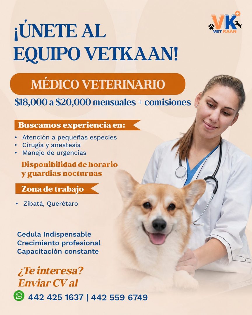 Banner del anuncio de la vacante: ¡ÚNETE AL · EQUIPO VETKAAN! · MÉDICO VETERINARIO · $18,000 a $20,000 mensuales + comisiones · Buscamos experiencia en: · • Atención a pequeñ