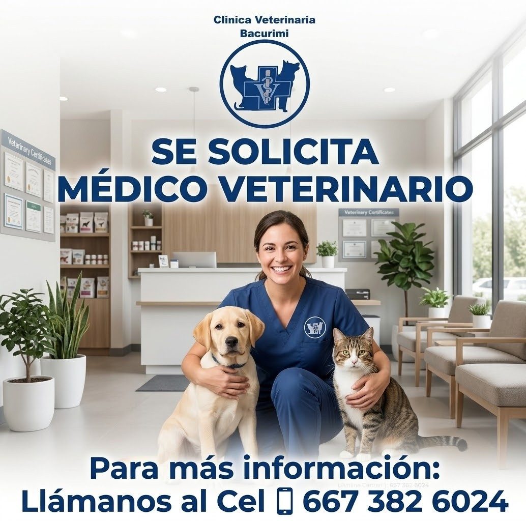 Banner del anuncio de la vacante: Clinica Veterinaria · Bacurimi · Veterinay Cetifases · SE SOLICITA · MÉDICO VETERINARIO · Para más información: · Llámanos al Cel [ 667 382 