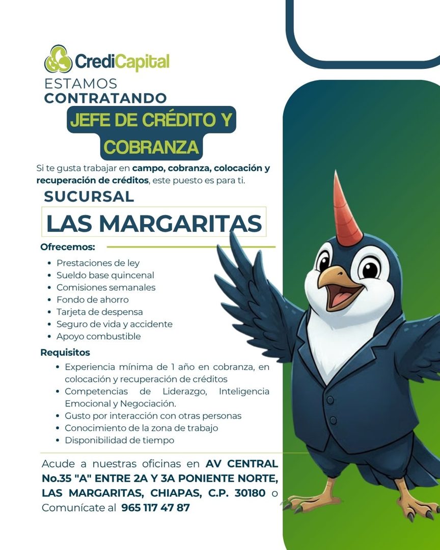 Banner del anuncio de la vacante: S CrediCapital · ESTAMOS · CONTRATANDO · JEFE DE CRÉDITO Y · COBRANZA · Si te gusta trabajar en campo, cobranza, colocación y · recuperación