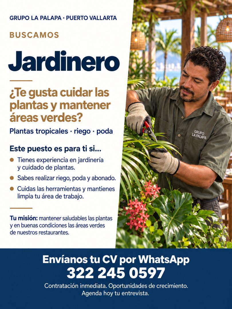 Banner del anuncio de la vacante: GRUPO LA PALAPA • PUERTO VALLARTA · BUSCAMOS · Jardinero · ¿Te gusta cuidar las · plantas y mantener · áreas verdes? · Plantas tropicales • 