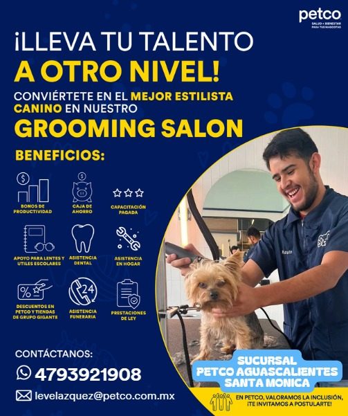 Banner del anuncio de la vacante: petco · CADA MIASAN · ¡LLEVA TU TALENTO · A OTRO NIVEL! · CONVIÉRTETE EN EL MEJOR ESTILISTA · CANINO EN NUESTRO · GROOMING SALON · BENEFICIO
