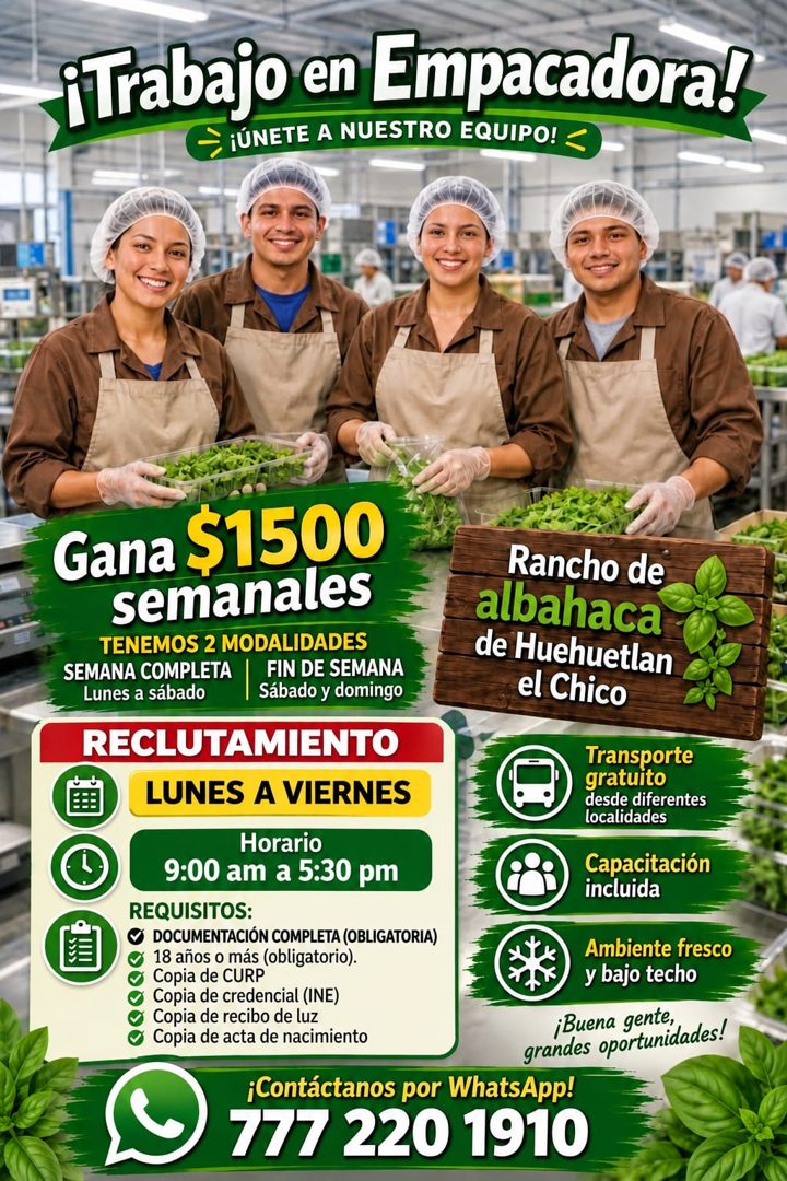 Banner del anuncio de la vacante: ¡Trabajo en Empacadora! · ¡ÚNETE A NUESTRO EQUIPO! < · Gana $1500 · semanales · TENEMOS 2 MODALIDADES · SEMANA COMPLETA · FIN DE SEMANA · Lu