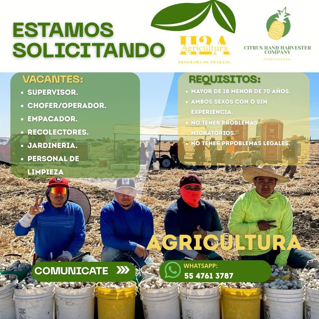 Banner del anuncio de la vacante: ESTAMOS · SOLICITANDO · CITRUS HAND HARVESTER · COMPANY · COSECHADORAI · VACANTES: · • SUPERVISOR. · • CHOFER/OPERADOR. · • EMPACADOR. · • R