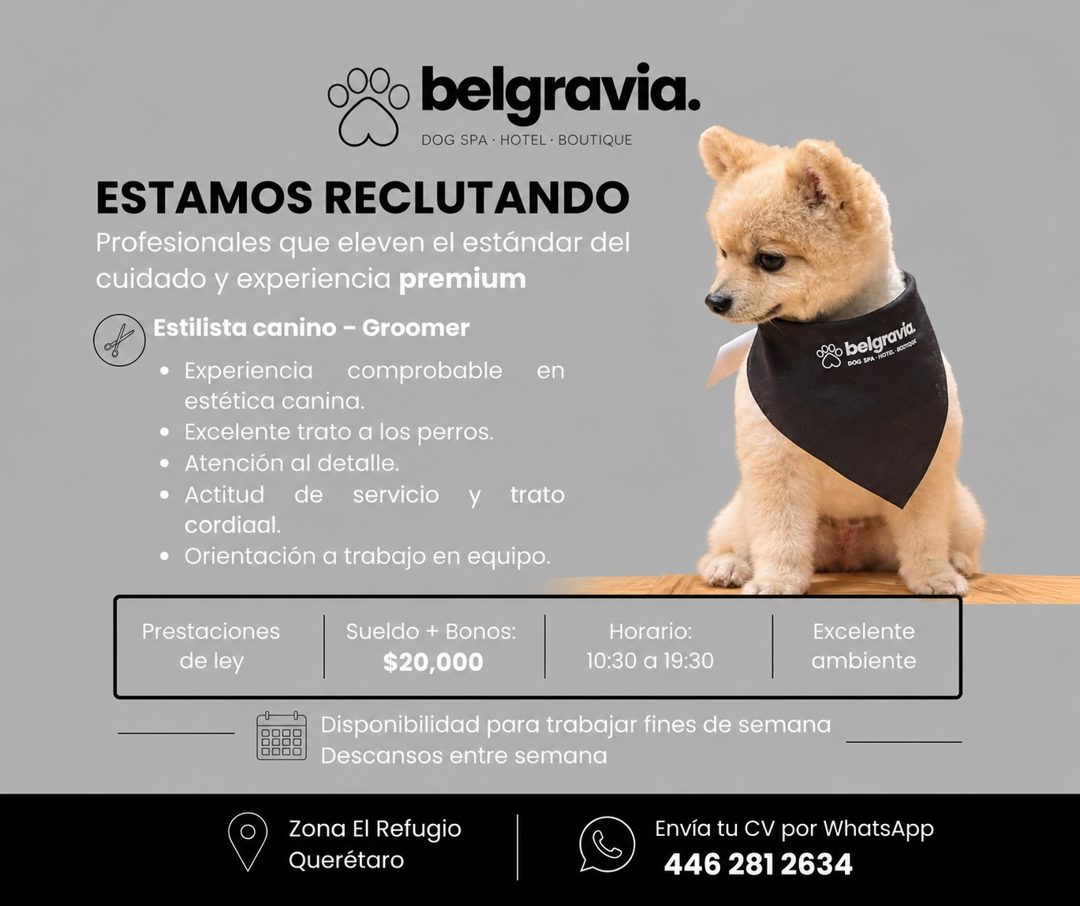 Banner del anuncio de la vacante: o belgravia. · DOG SPA • HOTEL • BOUTIQUE · ESTAMOS RECLUTANDO · Profesionales que eleven el estándar del · cuidado y experiencia premium · 