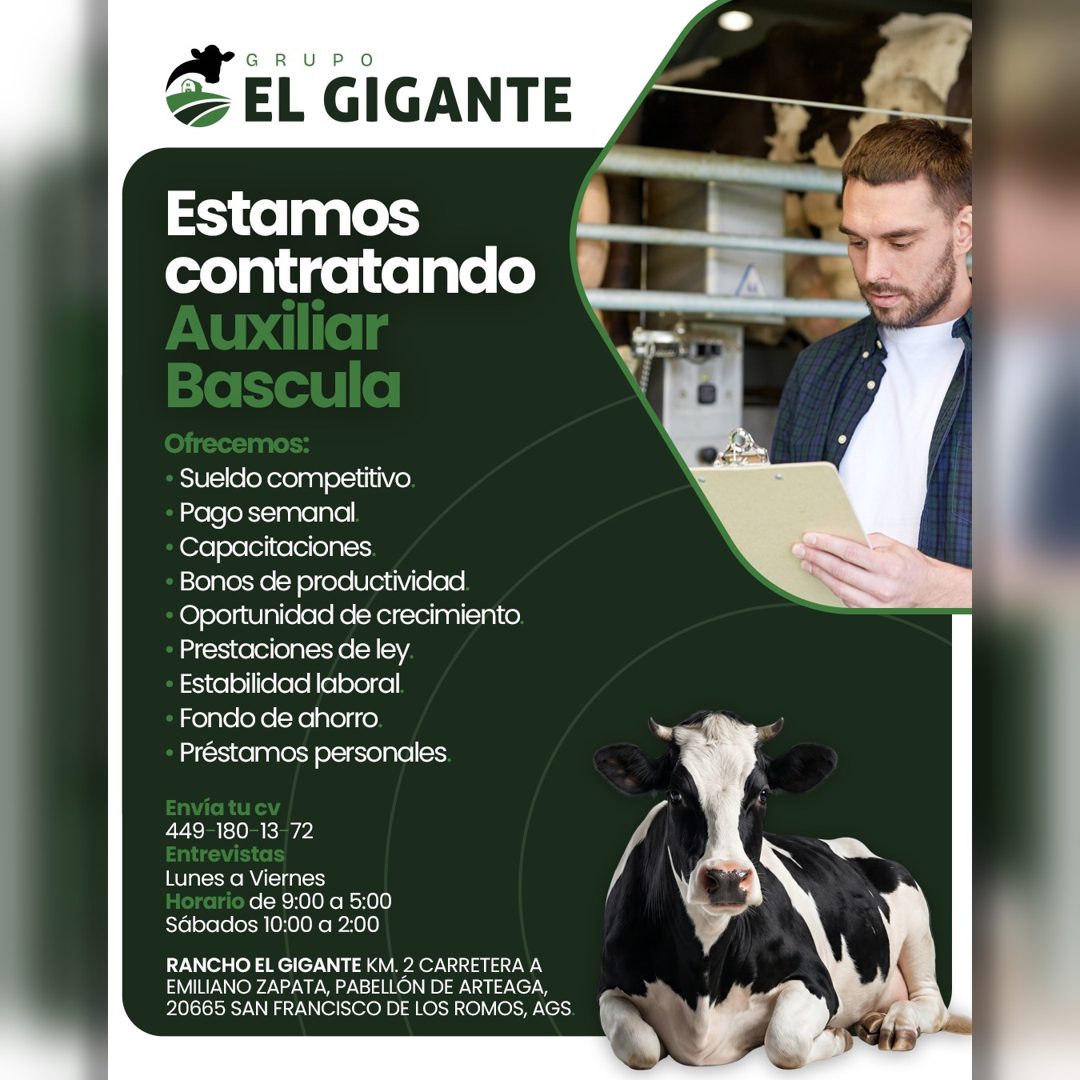 Banner del anuncio de la vacante: GRUPO · EL GIGANTE · Estamos · contratando · Auxiliar · Bascula · Ofrecemos: · • Sueldo competitivo. · • Pago semanal. · • Capacitaciones. ·