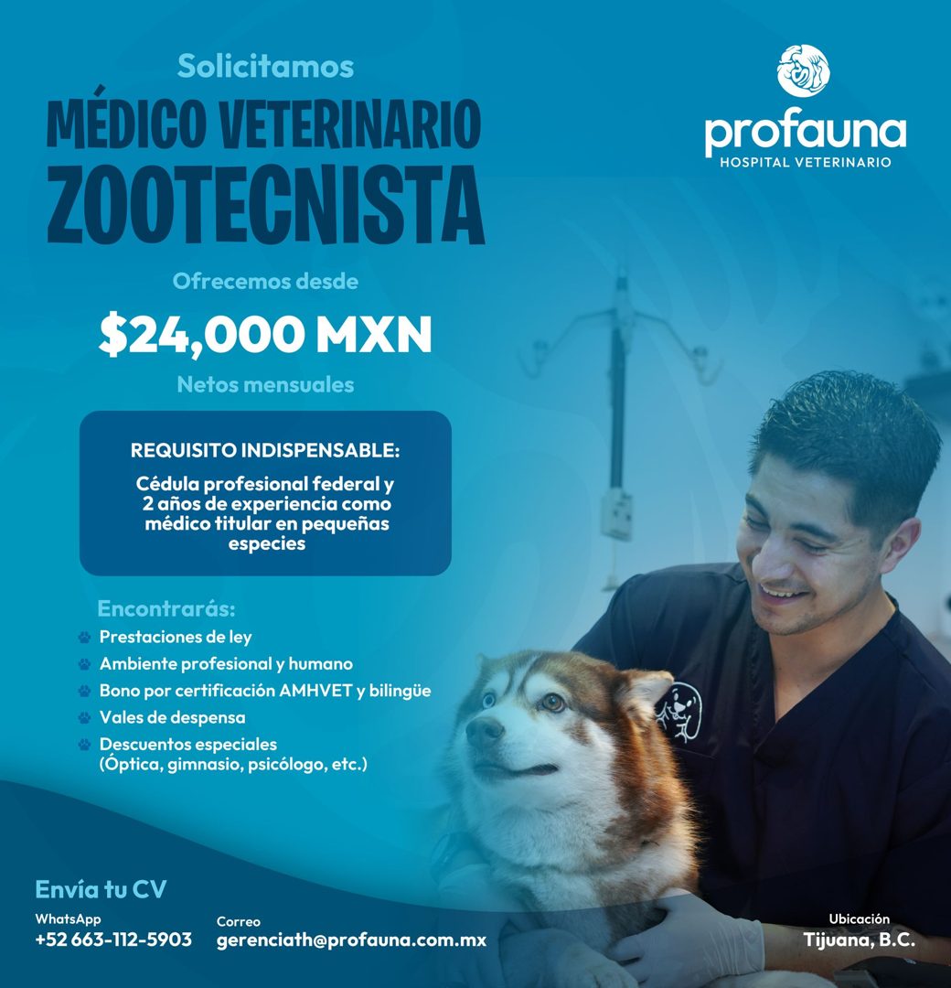 Banner del anuncio de la vacante: Solicitamos · MÉDICO VETERINARIO · ZOOTECNISTA · Ofrecemos desde · $24,000 MXN · Netos mensuales · REQUISITO INDISPENSABLE: · Cédula profesi