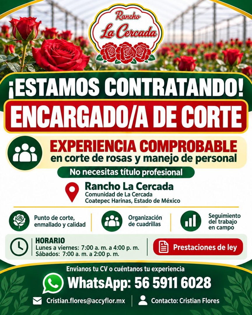 Banner del anuncio de la vacante: Rancho · La Cercada · ¡ESTAMOS CONTRATANDO! · ENCARGADO/A DE CORTE · EXPERIENCIA COMPROBABLE · en corte de rosas y manejo de personal · No n