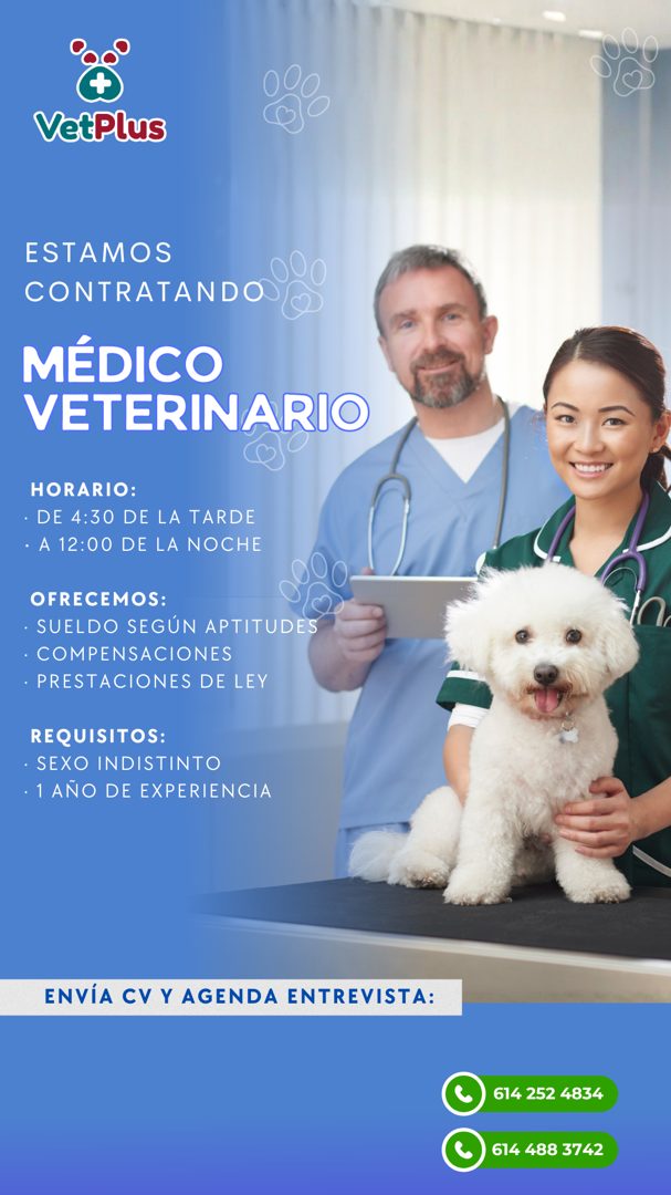 Banner del anuncio de la vacante: VetPlus · ESTAMOS · CONTRATAND · MÉDICO · VETERINARIO · HORARIO: · • DE 4:30 DE LA TARDE · • A 12:00 DE LA NOCHE · OFRECEMOS: · • SUELDO SEG