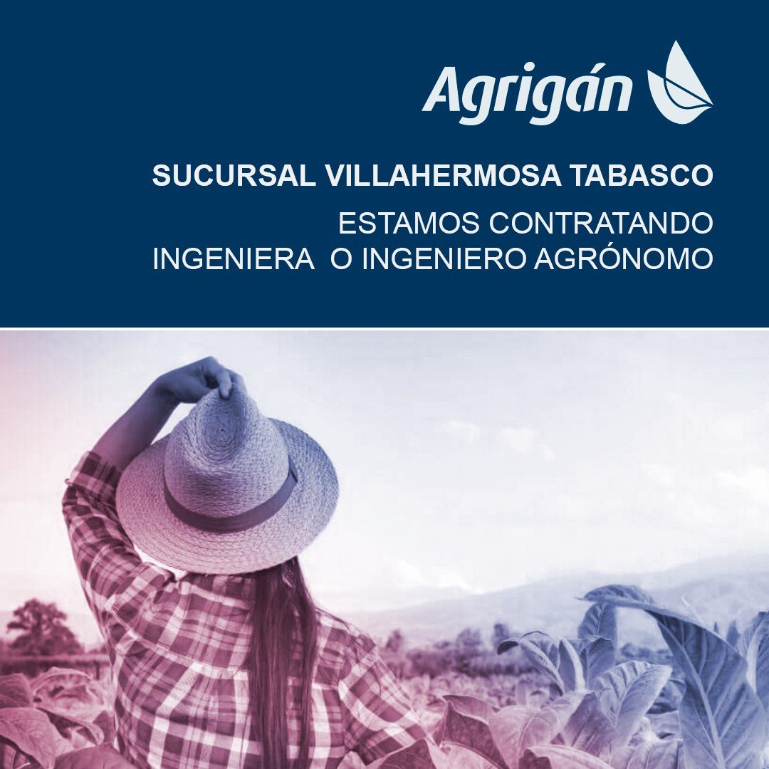 Banner del anuncio de la vacante