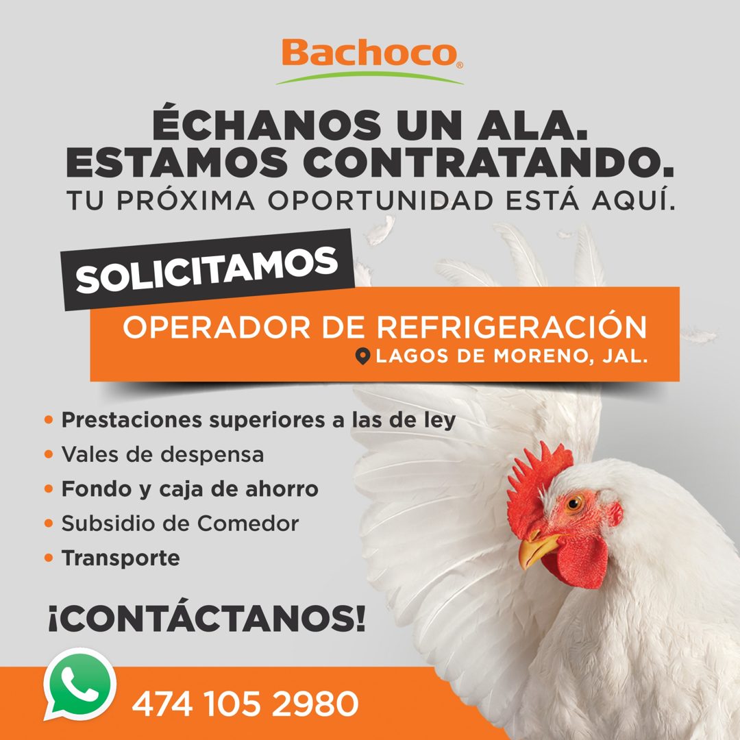 Banner del anuncio de la vacante: Bachoco® · ÉCHANOS UN ALA. · ESTAMOS CONTRATANDO. · TU PRÓXIMA OPORTUNIDAD ESTÁ AQUÍ. · SOLICITAMOS · OPERADOR DE REFRIGERACIÓN · LAGOS DE M