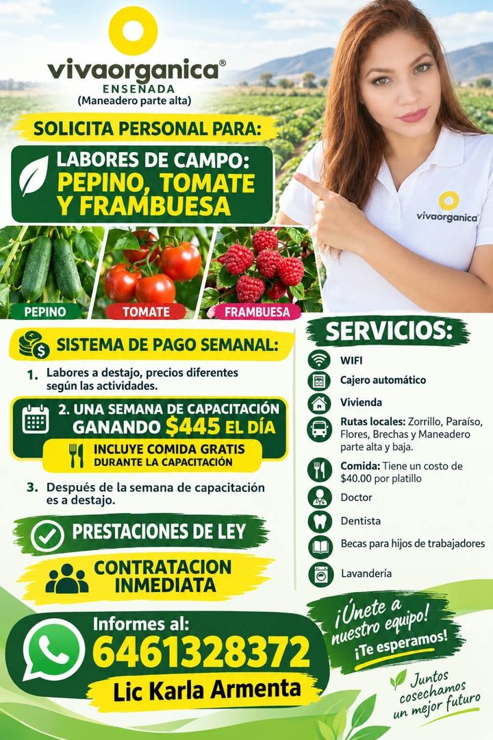 Banner del anuncio de la vacante