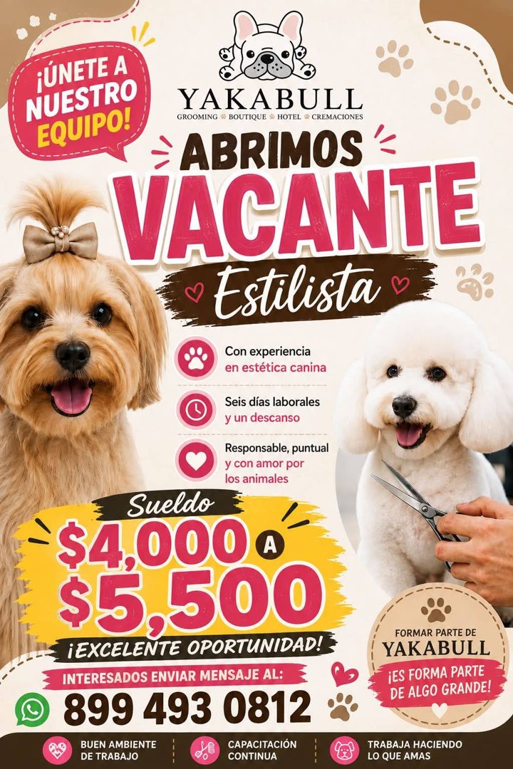 Banner del anuncio de la vacante: ¡ÚNETE A · NUESTRO · EQUIPO! · YAKABULL · GROOMING BOUTIQUE HOTEL * CREMACIONES · ÷ ABRIMOS'= · VACANTE · Estilista · Con experiencia · en e